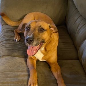 Meet your Posher, Carolyn